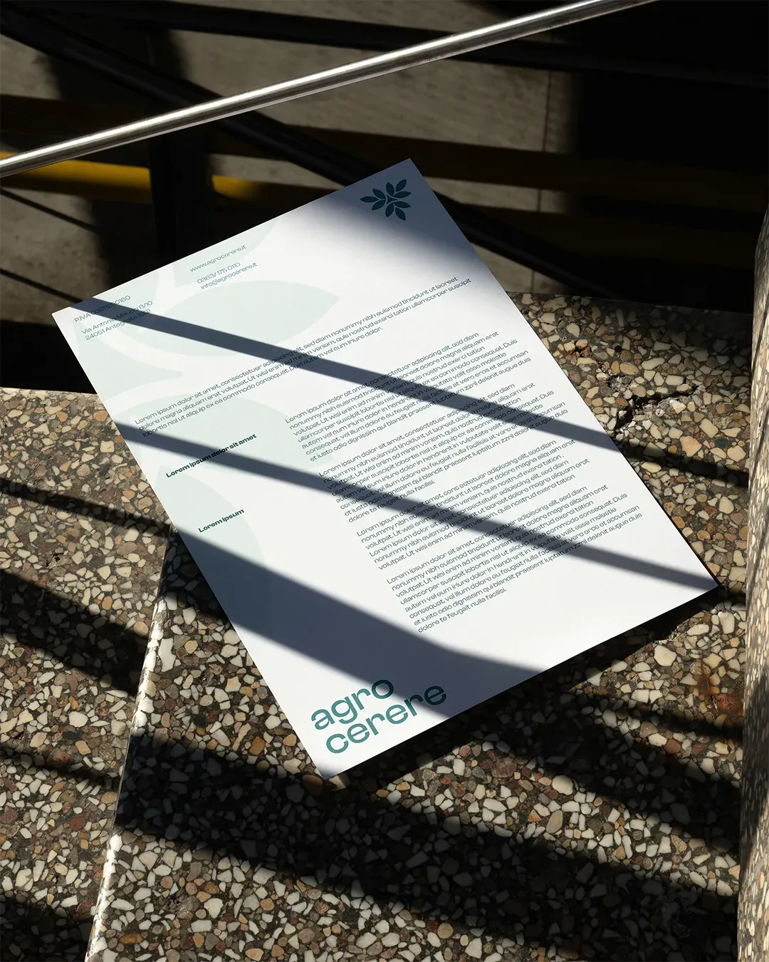 Dettaglio logo Agrocerere - redesign marchio aziendale