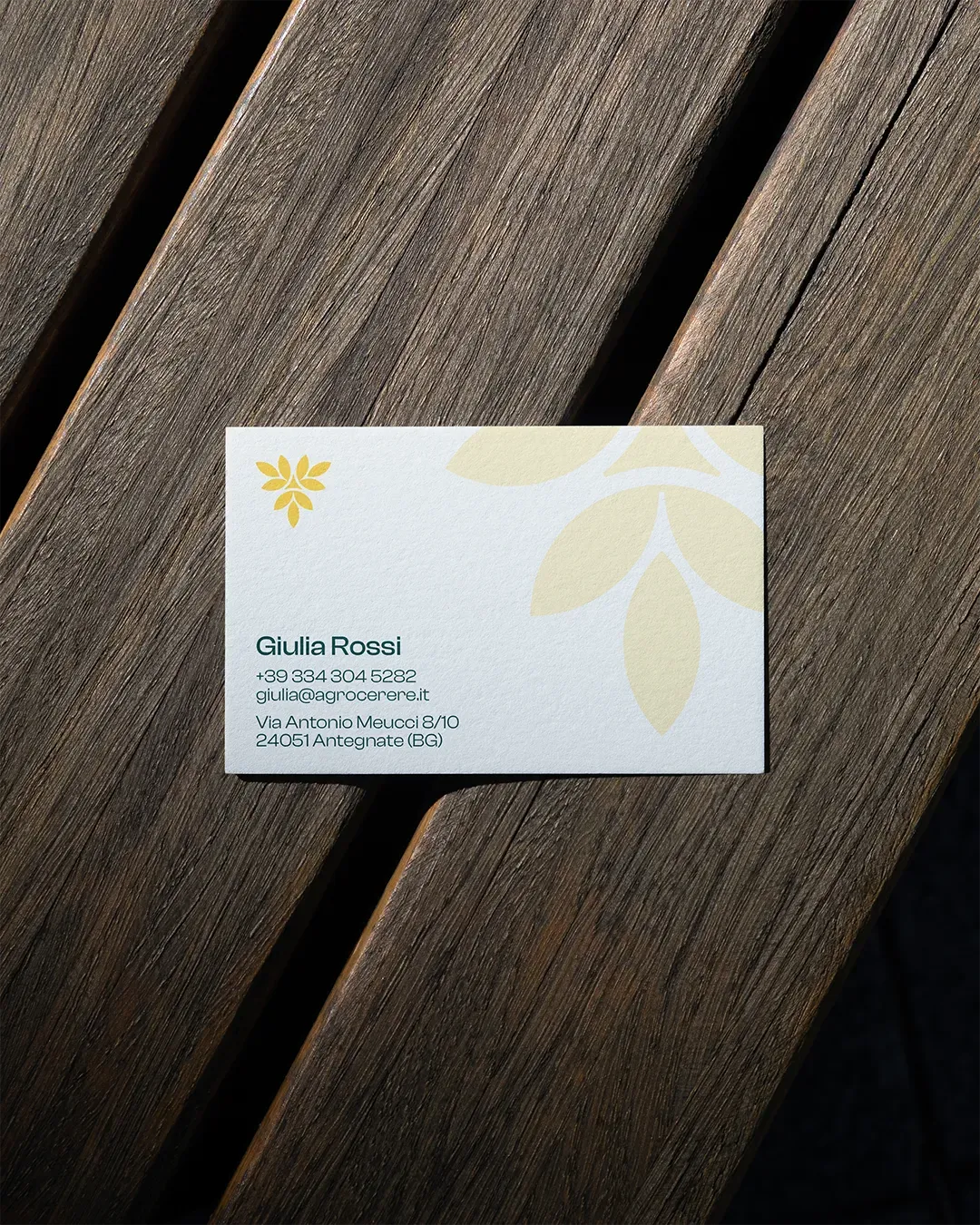 Materiali coordinati Agrocerere - identita visiva e grafica aziendale