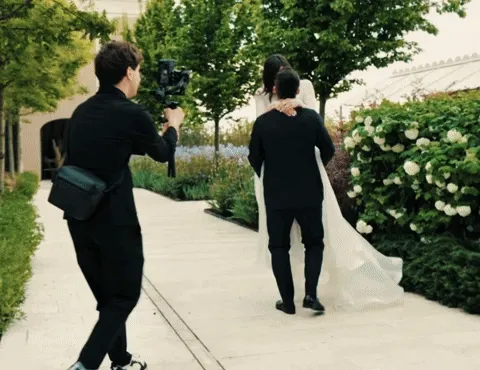 Allineamenti di Team